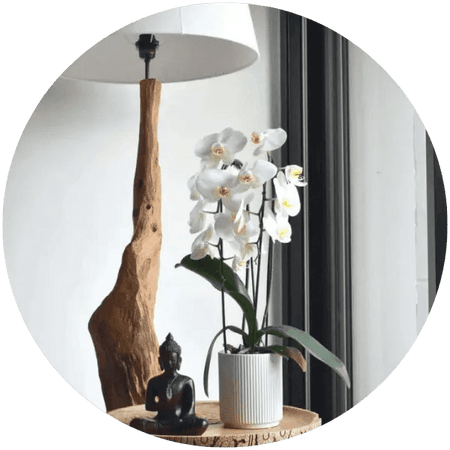 Decoração